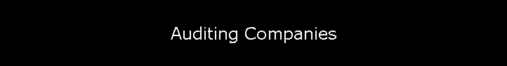 Auditing Companies