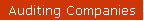 Auditing Companies
